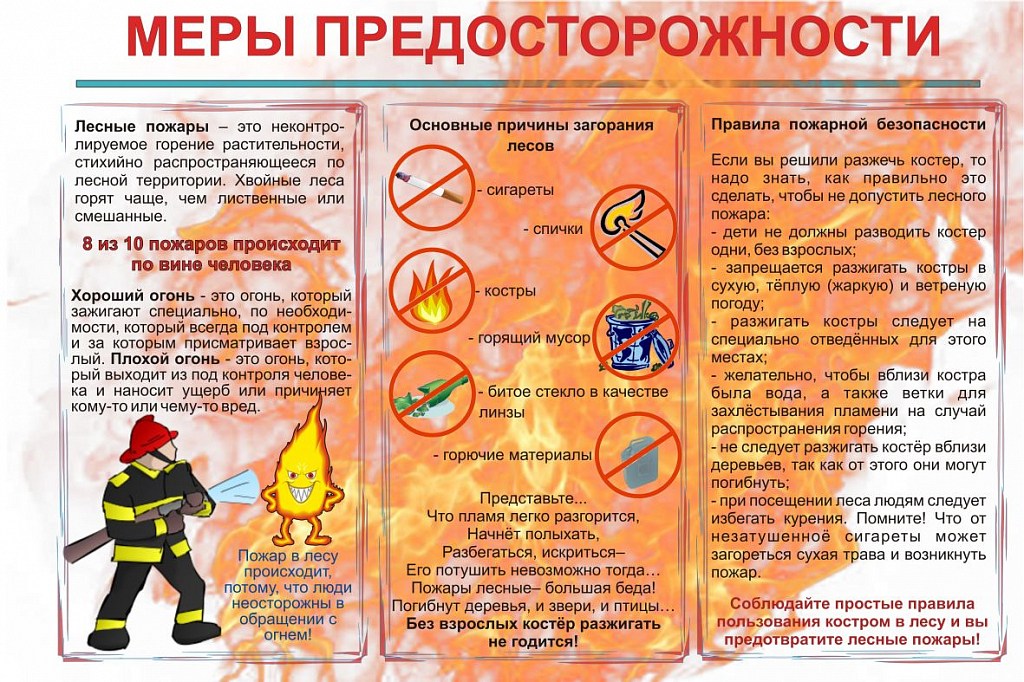 О лесных пожарах.jpg